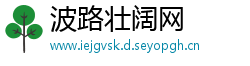 波路壮阔网
